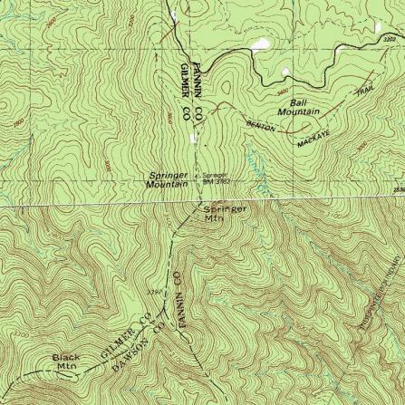 Springer Mtn Topo